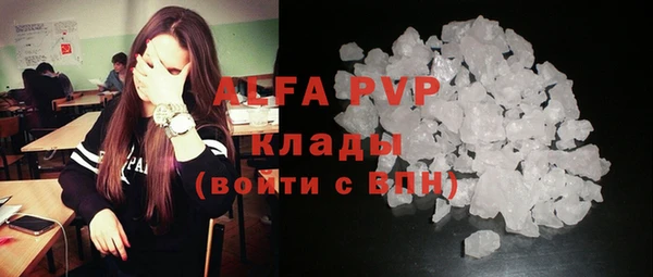 винт Абаза