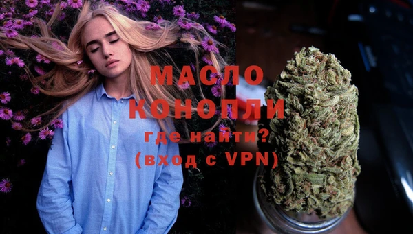индика Абинск