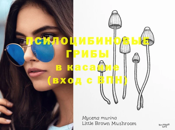 кокс Пересвет