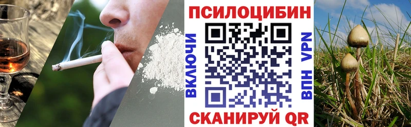 купить  цена  Дивногорск  мега tor  Псилоцибиновые грибы мицелий 